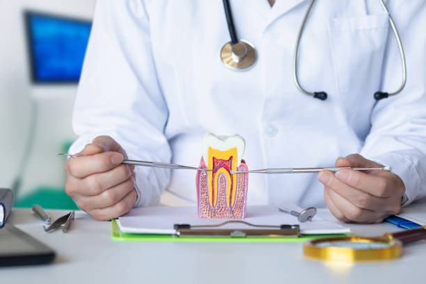 Best Emergency Dental Care for Abscessed Tooth in Duquesne, PA